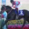 【競馬】コントレイルの受胎率やはり低かったことが判明