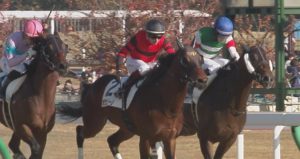 【競馬】マーフィー帰国で喜ぶルメール！関東中堅騎手のゴミさに厩舎も頭を悩ます