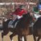 【競馬】マーフィー帰国で喜ぶルメール！関東中堅騎手のゴミさに厩舎も頭を悩ます