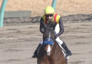 【競馬】ミモザ賞に出走するミュアウッズとかいう牝馬の馬体重が５９０キロｗｗｗｗｗｗｗｗｗｗｗｗｗ
