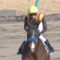 【競馬】ミモザ賞に出走するミュアウッズとかいう牝馬の馬体重が５９０キロｗｗｗｗｗｗｗｗｗｗｗｗｗ