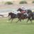 【競馬】阪神9R メロディーレーン弱すぎワロタ
