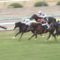 【競馬】阪神9R メロディーレーン弱すぎワロタ
