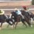 【競馬】メロディーレーン 次走は松山騎手との新コンビで兵庫特別へ 【競馬】メロディーレーン 次走は松山騎手との新コンビで兵庫特別へ