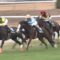 【競馬】岩田ジュニアがアイドル馬メロディーレーンでクソ騎乗