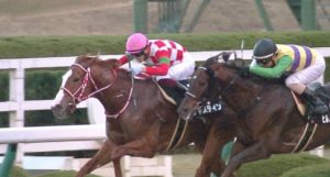 【競馬】ヤングジョッキーズシリーズ決勝途中経過