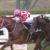 【競馬】重賞連勝！！オルフェーヴル種牡馬大成功！