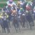 【競馬/新馬戦】オルフェーヴル2歳副将ギルデッドミラー土曜中京にてデビュー