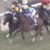 【競馬】競馬板「アーモンドアイが負ける姿が思い浮かばないんだが」