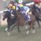 【競馬・ヴィクトリアM】アーモンドアイの単勝1.7倍の内に買えたラッキー！