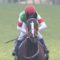 【競馬】リスグラシュー、初年度はモーリス種付け
