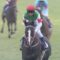 【競馬】2019年度JRA賞競走馬部門がほぼ確定！