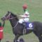 【競馬】矢作調教師｢リスグラシューが本格化したのは5歳になってから｣