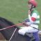 【競馬】ダメヤン、レーンwwwwwwwww