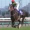 【競馬】JRAからリスグラシユーのクオカードが届く