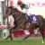 【競馬】リスグラシューの有馬記念のレーティング126（牡馬換算130）国内最高レート