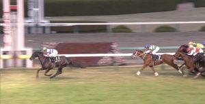 【競馬】ファイナルS！令和元年の締めは武豊！！！！！！役者が違いすぎる！！
