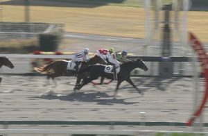 【競馬】武豊中京1R油断騎乗か 【余裕の手応えでゴール前差される】