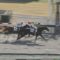 【競馬】武豊中京1R油断騎乗か 【余裕の手応えでゴール前差される】