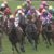 【競馬】今年の3歳重賞で1番人気が全て負ける珍事www