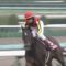 【競馬】グランアレグリアはJC出てこないの？