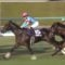 【競馬・オークス】リアアメリア、ひっそりと4着