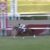 【競馬・桜花賞】前売り、レシステンシア単勝万馬券ってだめじゃん