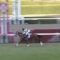【競馬】アンカツ「桜花賞は友一のお手並み拝見といこうやないけ」