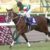 【競馬】レシステンシア 阪急杯で始動 【競馬】レシステンシア 阪急杯で始動