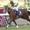 【競馬】レシステンシアってなんで世代限定戦すら勝てなかったの？