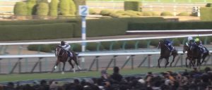 【競馬・阪神JF】12.2 - 10.5 - 11.0 - 11.8 - 12.0 - 11.2 - 11.5 - 12.5←常識離れのとんでもないラップを刻んでる件