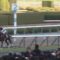 【競馬・チューリップ賞】レシステンシア、負けるよな
