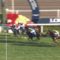 【競馬】ウインブライトさん、本気で強かった