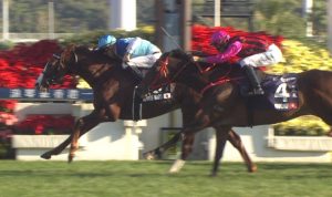 【競馬】香港でワイククとビューティージェネレーションに完勝したアドマイヤマーズ