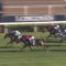 【競馬・香港マイル】スミヨン神騎乗でアドマイヤマーズ強すぎワロタｗｗｗｗｗｗｗｗｗ