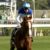 【競馬】今週のスミヨン酷すぎワロタw
