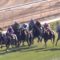 【競馬】ダートはなぁ！！芝の二軍じゃねーんだよ！！！