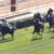 【競馬】来年期待してる馬あげれ