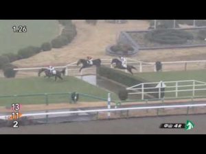 【競馬】[動画] 障害競走で2頭が落馬　マイネルバッカーノが先に転倒した馬に対応中の係員に2周目で接触