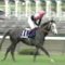【競馬】ビワハヤヒデ（牡30）