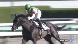 【競馬】ヴァーダイトは重賞を勝てる馬になるのか? 【競馬】ヴァーダイトは重賞を勝てる馬になるのか?