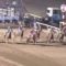 【競馬】ツイッターの八百長競馬ガチ勢さん、船橋競馬の八百長疑惑について裁決委員の方と話し合いをする