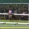 【競馬】サクラローレル死亡