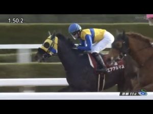 【競馬】東海Ｓ制覇のエアアルマスが骨折　復帰時期は未定