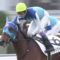 【競馬・日経新春杯】アドマイヤビルゴって何で3歳G1でなかったの？