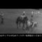【競馬】カブラヤオーの皐月賞映像、Youtubeで登場