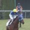 【競馬・新馬戦】アドマイヤビルゴ強すぎワロタwwwwwwwwww【12年ぶりアドマイヤｘ武豊】
