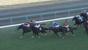 【競馬・中山金杯】トリオンフの代打デムーロうますぎワロタｗｗｗｗｗ