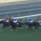 【競馬・中山金杯】トリオンフの代打デムーロうますぎワロタｗｗｗｗｗ