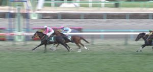 【競馬】皐月賞16着のクリスタルブラック、屈腱炎で全治2年の診断